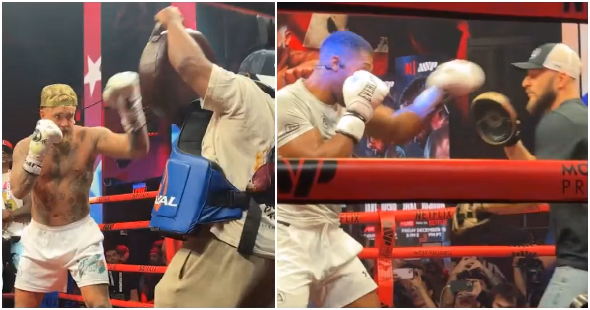 Jake Paul and Anthony Joshua's Pad Work Compared
