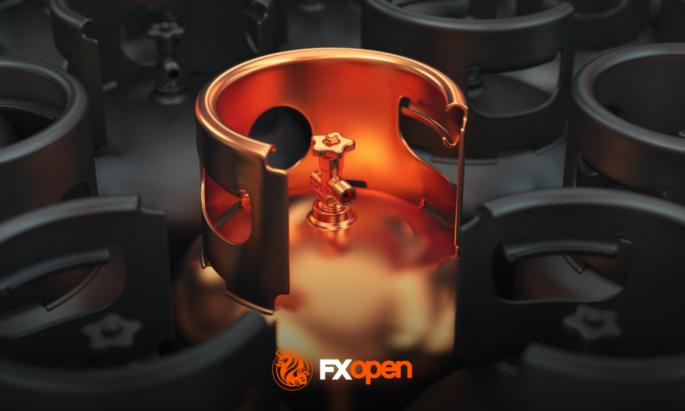 Natural Gas Prices Fell in Late December