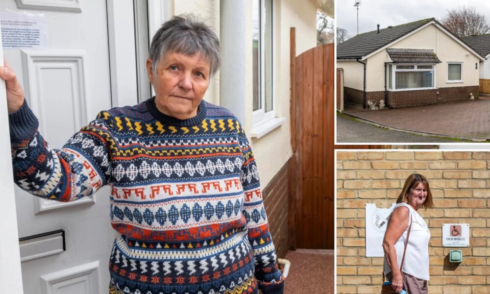 I've been at war with neighbour over 1ft of land for FIVE years