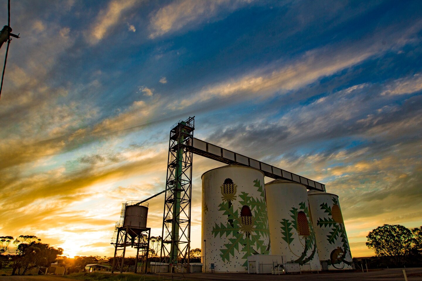 Local family revealed as buyer of $50m Esperance farm
