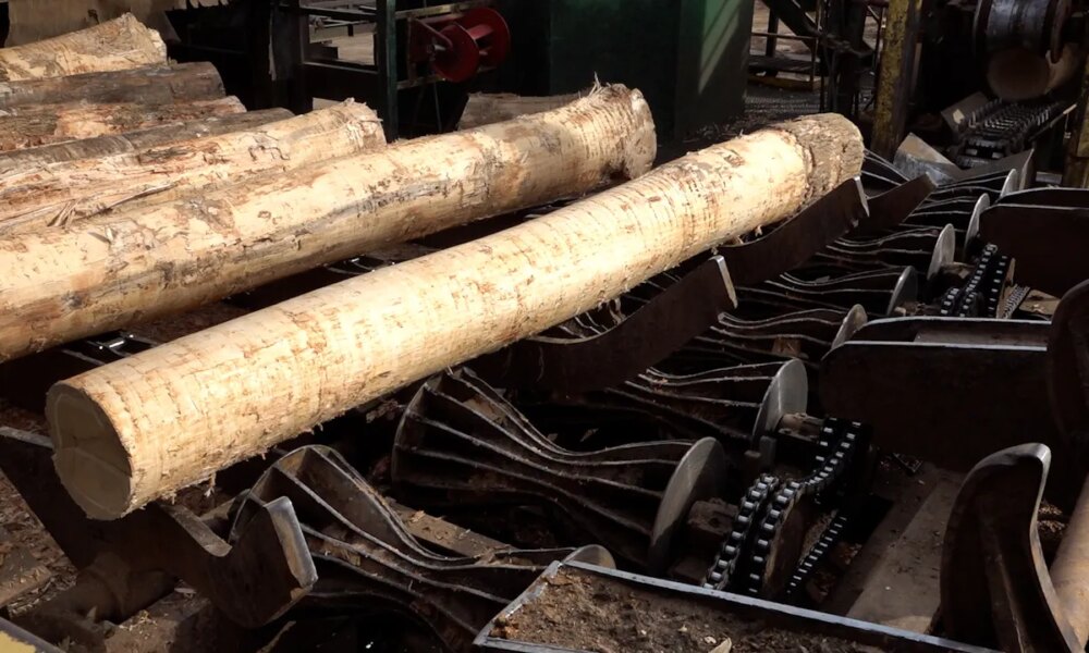 US sawmills warn closures rising amid tariffs, weakened demand