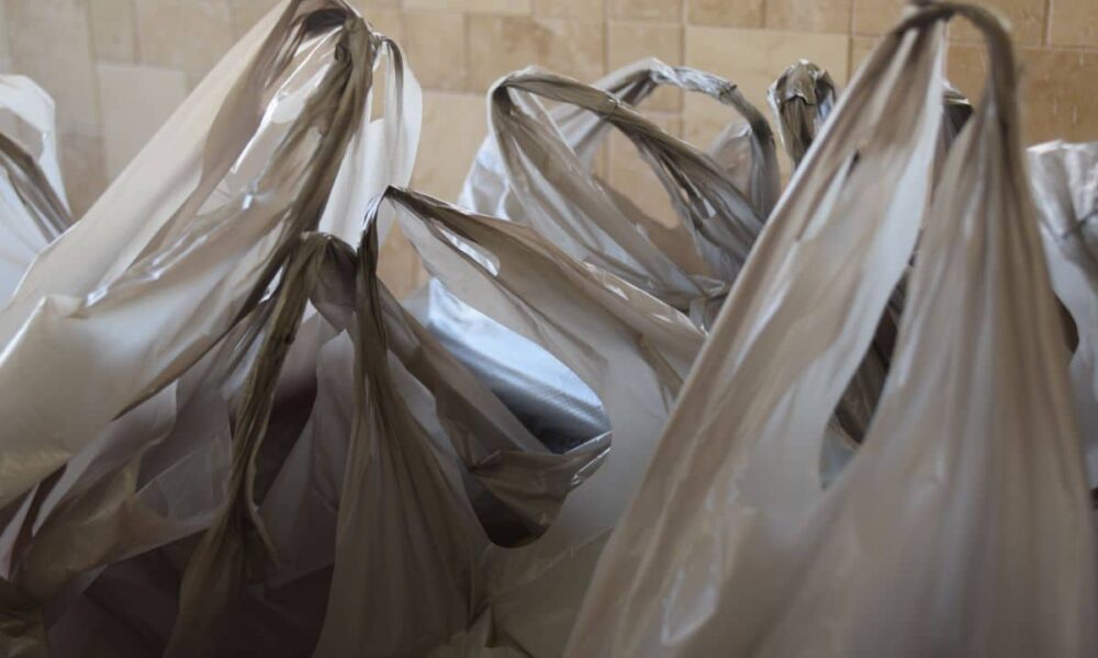 UAE single-use plastics 2024