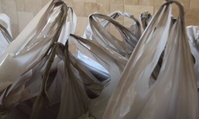 UAE single-use plastics 2024