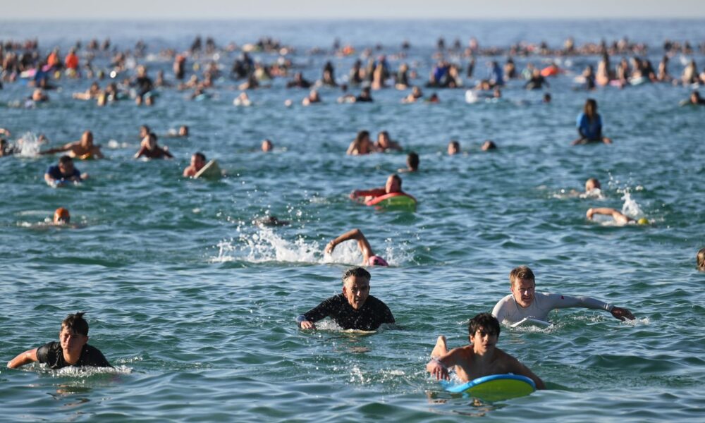 Australia plans gun buyback scheme in response to Bondi Beach killings | World News