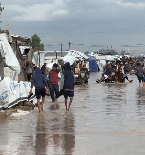 Airstrikes, shootings, hypothermia: The harsh reality of life in Gaza under US-backed ceasefire | World News