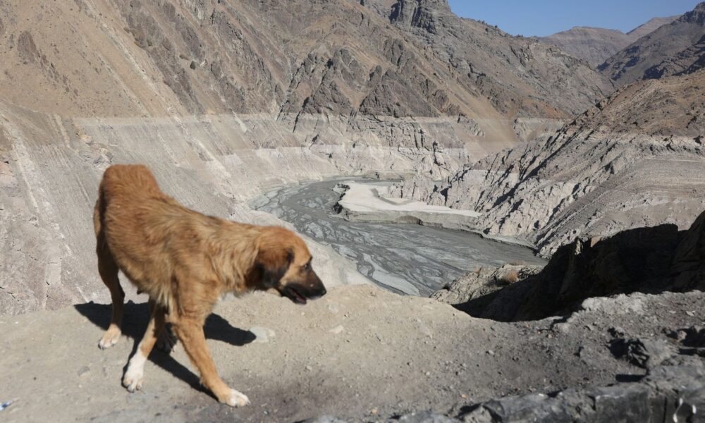 Major city may have to evacuate as water supplies run low | World News