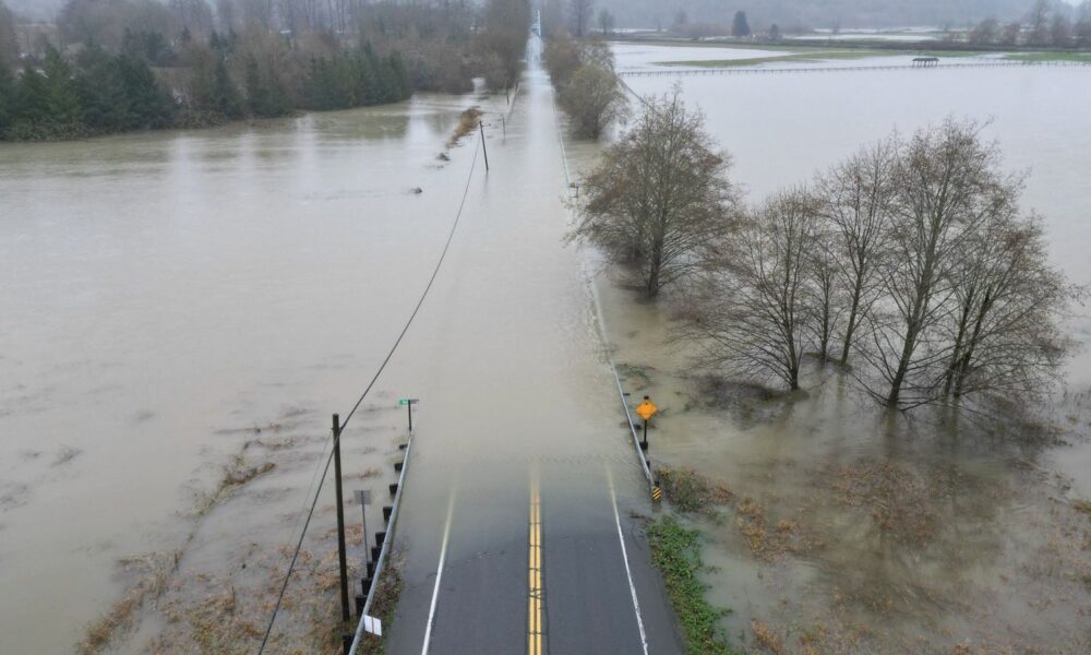 Pic:The Seattle Times/AP