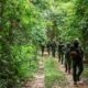 Thai military patrolling in the Chong Bok area near the disputed border with Cambodia. File pic: Reuters