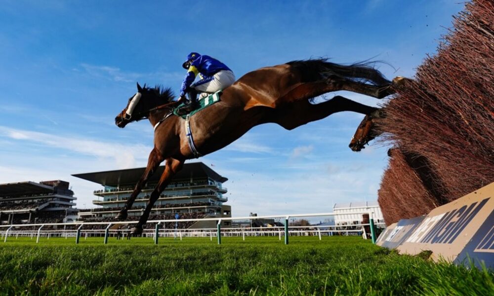 Glengouly heads for home at Cheltenham