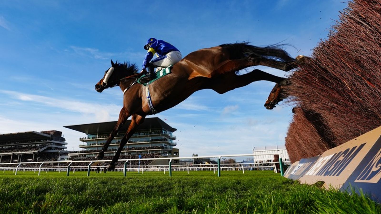 Glengouly heads for home at Cheltenham