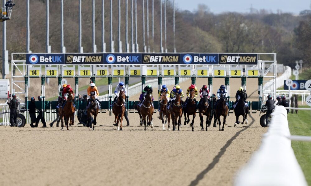 Newcastle Races: All-Weather action