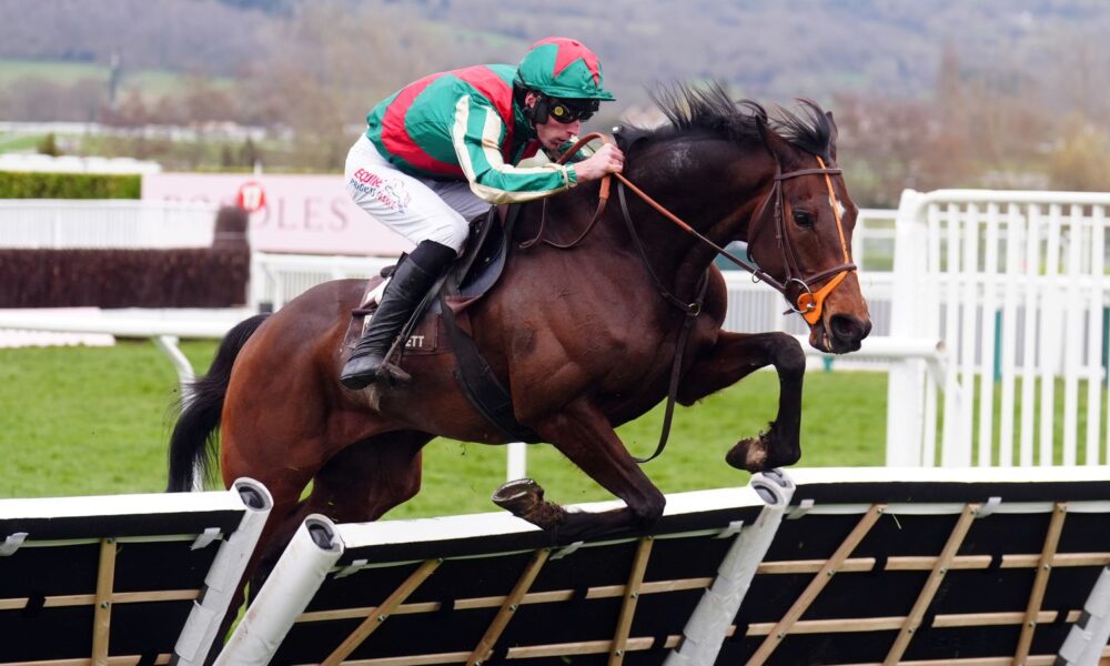 Jet Blue has been tipped up to land Saturday's Long Walk Hurdle