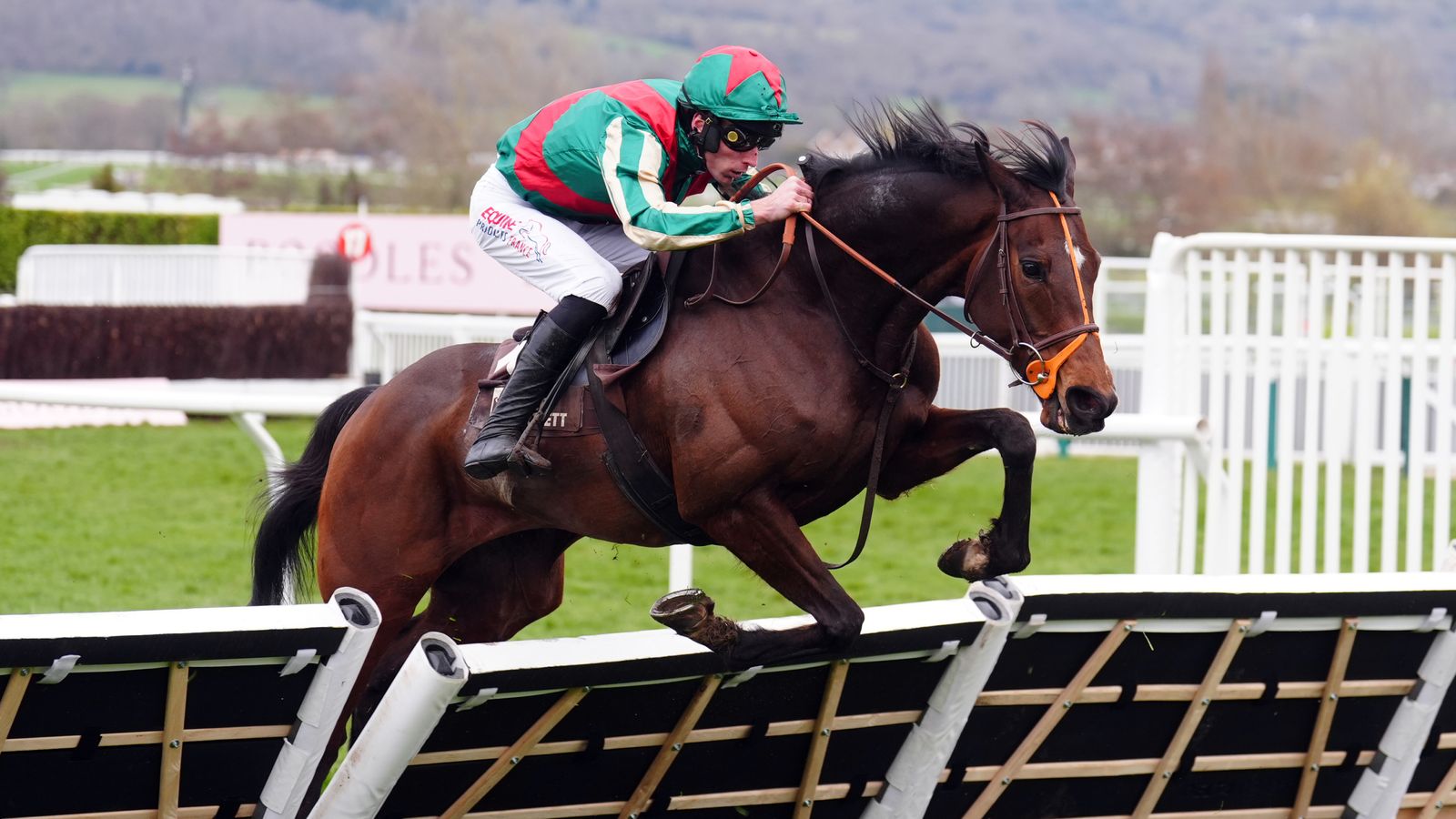Jet Blue has been tipped up to land Saturday's Long Walk Hurdle