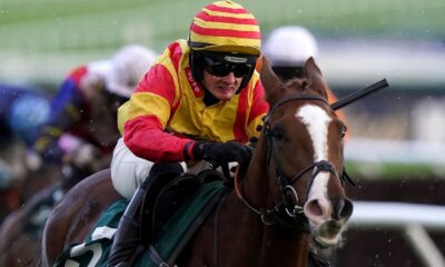 Lookaway is the star attraction at Newbury on Wednesday