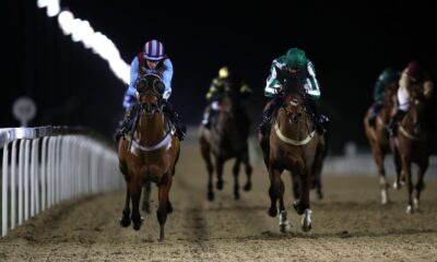 Racing under the lights at Newcastle