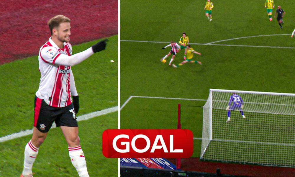 Southampton goal v WBA
