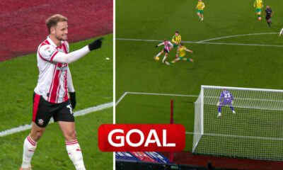 Southampton goal v WBA
