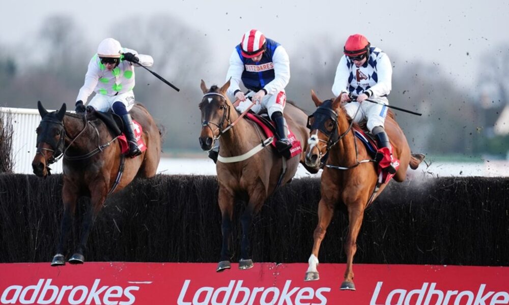 The Jukebox Man (centre) struck gold in the King George
