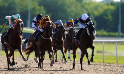 Wolverhampton hosts live racing on Tuesday