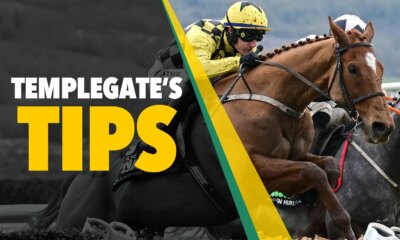 Horse racing tips: 'Willie Mullins runner hard to beat under Harry Cobden'