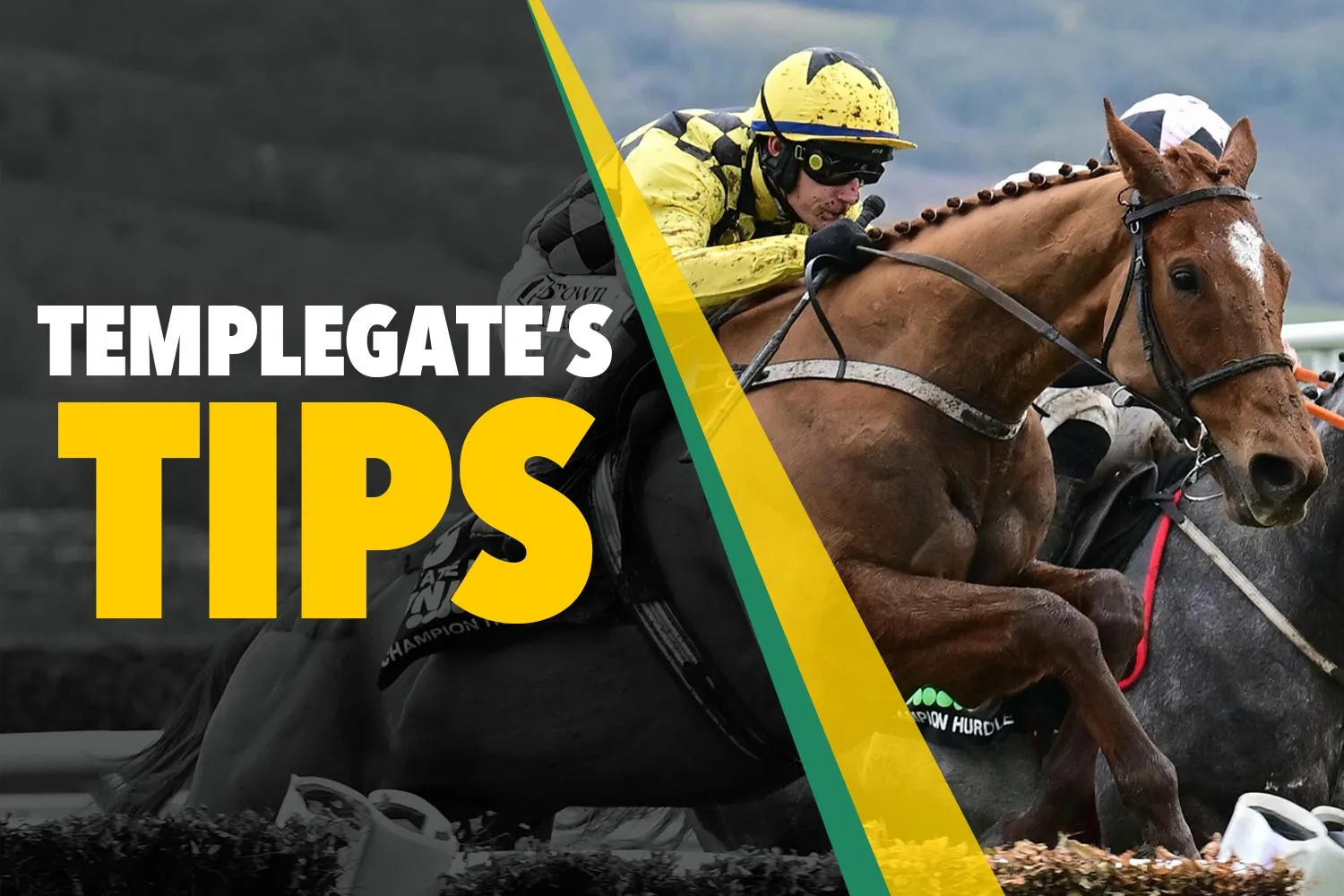 Horse racing tips: 'Willie Mullins runner hard to beat under Harry Cobden'