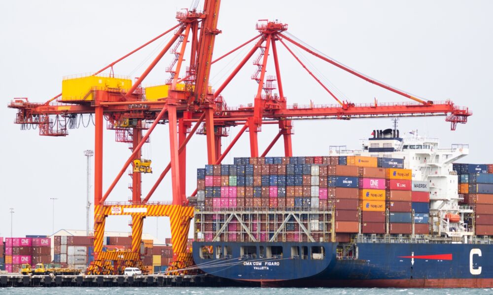 Stevedores draw ire of ACCC