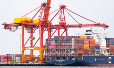 Stevedores draw ire of ACCC