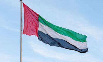 uae flag