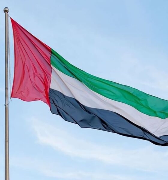 uae flag