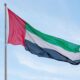 uae flag