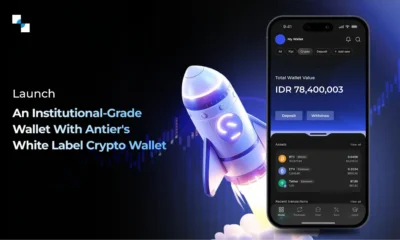 Your Blueprint for a Legally Sound Payment Stablecoin