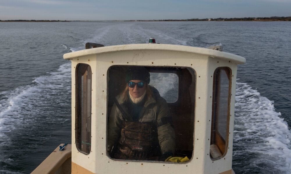 For WNBA players, second careers are a necessity. Their next chapters take them on unexpected paths