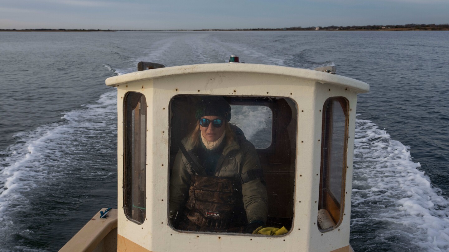 For WNBA players, second careers are a necessity. Their next chapters take them on unexpected paths