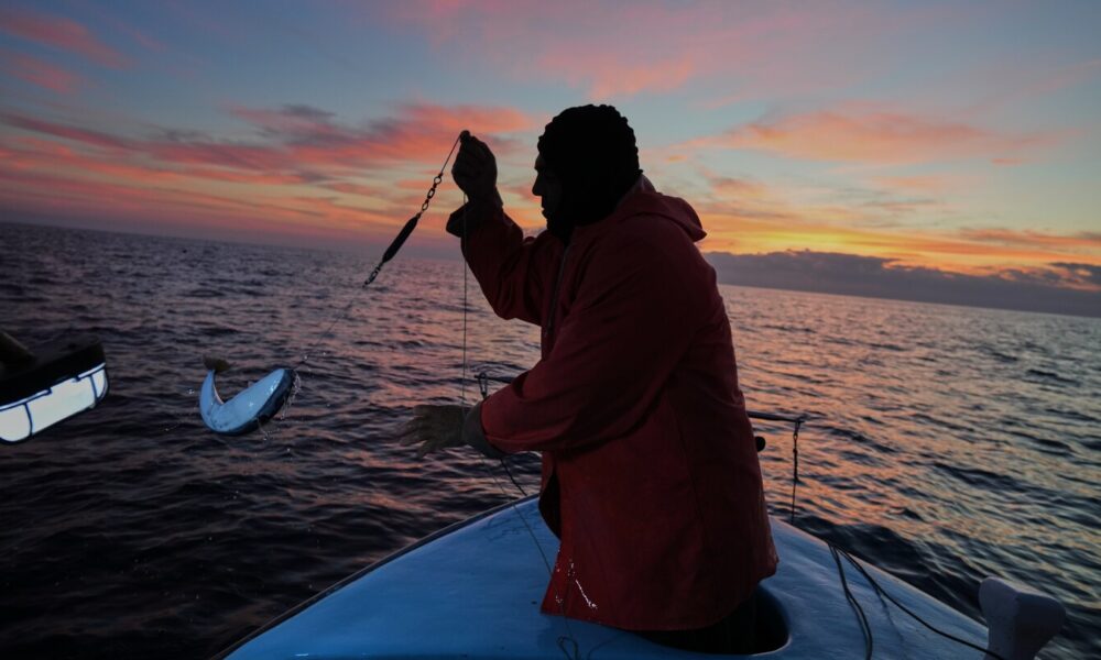 Cypriot fishermen battle invasive lionfish and turn them into a tavern delicacy