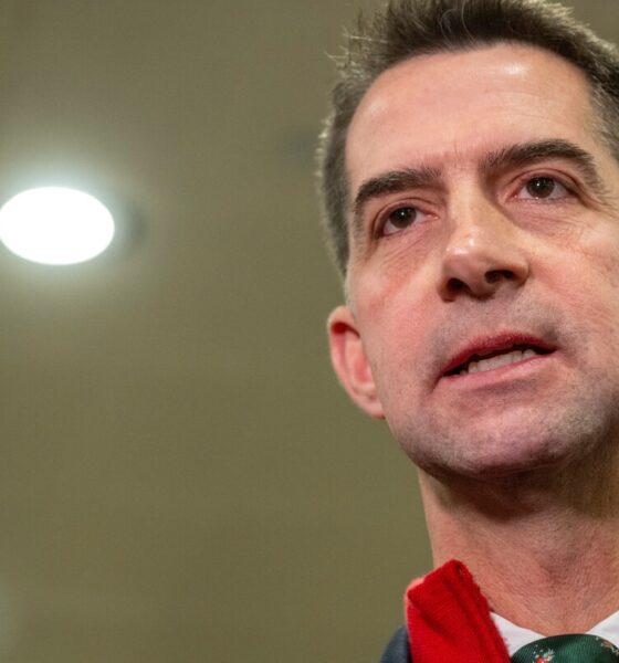 Sen. Cotton favors releasing video of strike that killed survivors