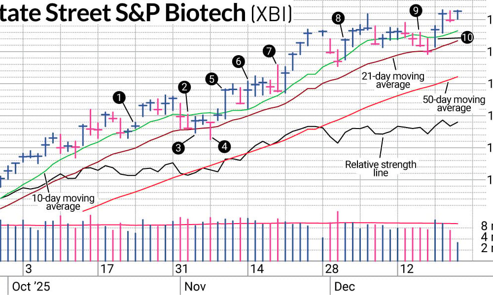 Biotech Stocks Survive The Sector Rotation