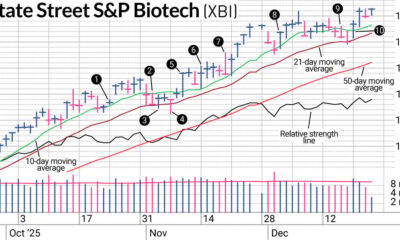 Biotech Stocks Survive The Sector Rotation