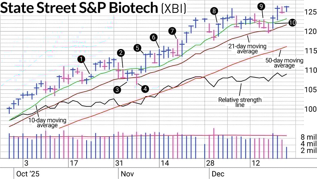 Biotech Stocks Survive The Sector Rotation
