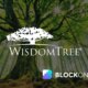 WisdomTree Report: XRP Is the Only Crypto With Sustained Institutional Inflows