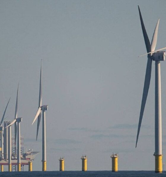 Record offshore wind projects secured in latest Government auction