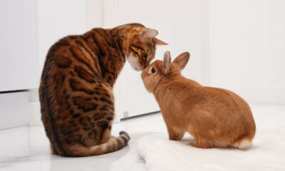 Manchester Evening News