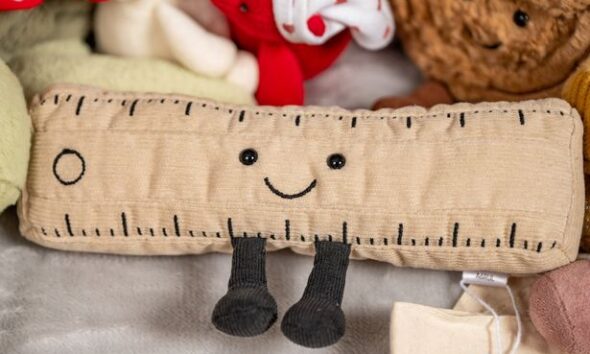 Teenager awarded Guinness World Record for the largest Jellycat memorabilia collection