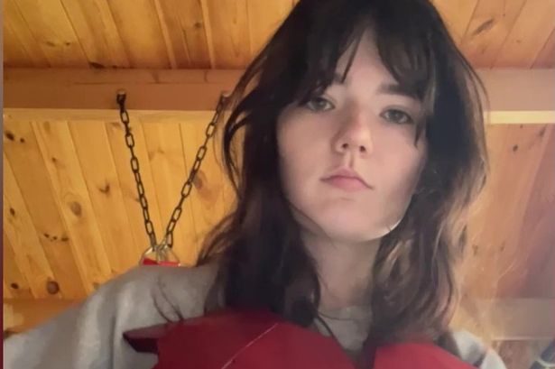 Student creates Iron Man suit using a 3D printer and a bunch of old wires