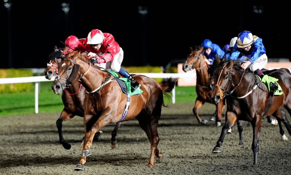 Kempton Park hosts an eight-race card on Wednesday evening, where Newboy's Nap runs in the 7.30