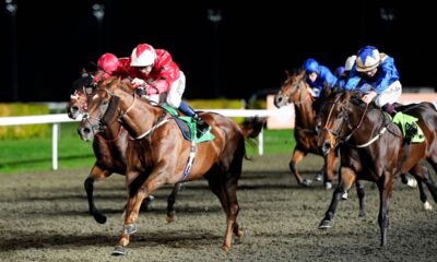 Kempton Park hosts an eight-race card on Wednesday evening, where Newboy's Nap runs in the 7.30