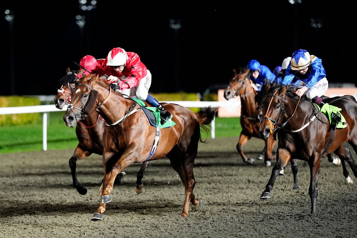 Kempton Park hosts an eight-race card on Wednesday evening, where Newboy's Nap runs in the 7.30
