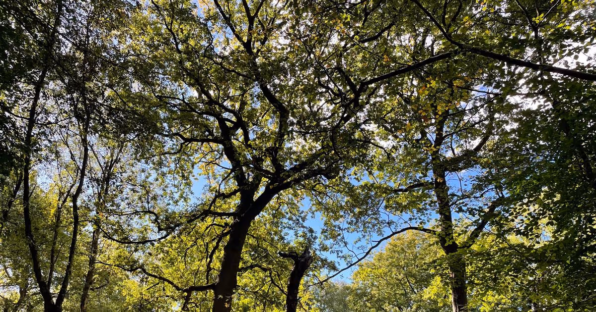 Manchester Evening News