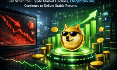 Even When the Crypto Market Declines, DogeStaking Continues to Deliver Stable Returns