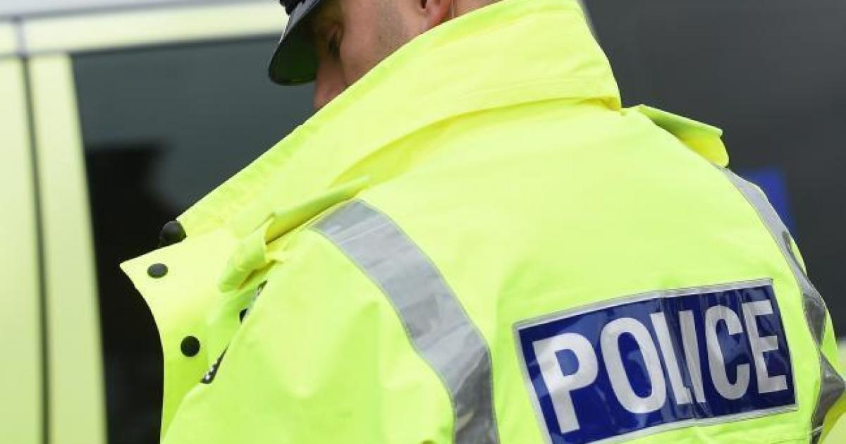 A man has been arrested following a dog attack on a woman in Halliwell