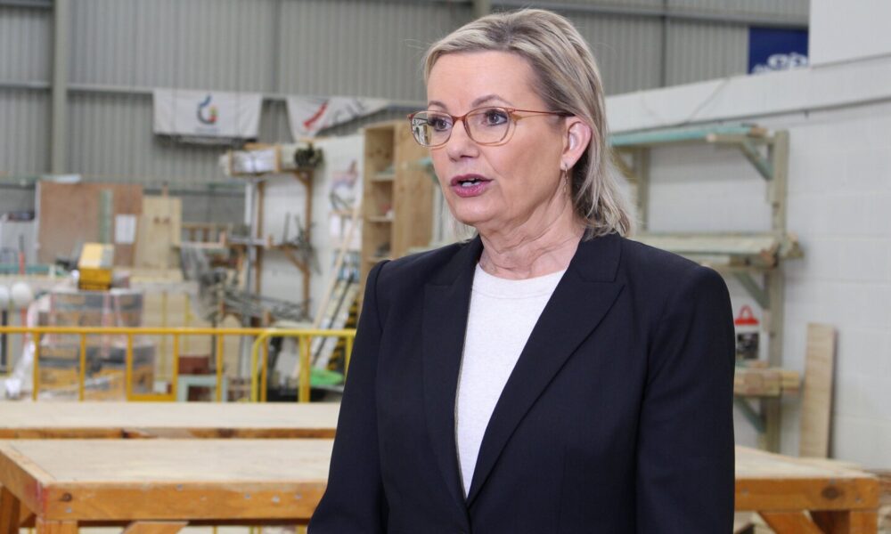 Ley claims backing by Libs, 'door open' to Nats reunion